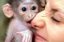 Mindy M - charity reviews, charity ratings, best charities, best nonprofits, search nonprofits