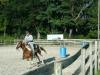 horsedrag - charity reviews, charity ratings, best charities, best nonprofits, search nonprofits