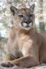 floridapotter - charity reviews, charity ratings, best charities, best nonprofits, search nonprofits