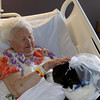 ozzy - charity reviews, charity ratings, best charities, best nonprofits, search nonprofits