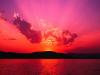 MCB - charity reviews, charity ratings, best charities, best nonprofits, search nonprofits