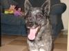 King Cajuns Momma - charity reviews, charity ratings, best charities, best nonprofits, search nonprofits