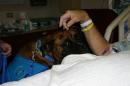 purplepate - charity reviews, charity ratings, best charities, best nonprofits, search nonprofits