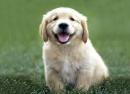RobertoMoreno - charity reviews, charity ratings, best charities, best nonprofits, search nonprofits