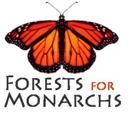 Forests for Monarchs - charity reviews, charity ratings, best charities, best nonprofits, search nonprofits