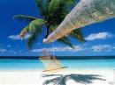 b.thomas - charity reviews, charity ratings, best charities, best nonprofits, search nonprofits