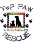 Top Paw Rescue Inc - charity reviews, charity ratings, best charities, best nonprofits, search nonprofits